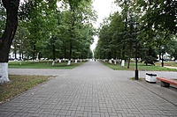 IMG 4645