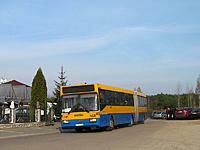 IMG 7091
