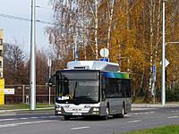 IMG 7111