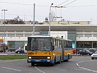 IMG 7141