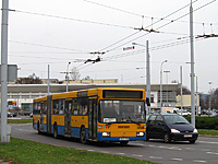 IMG 7149