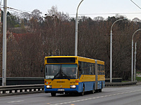 IMG 7159