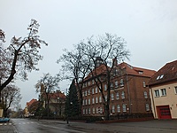Elkas