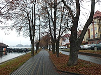 Elkas