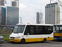 IMG 7347