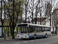 IMG 7354
