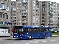 IMG 7367