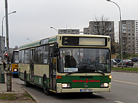 IMG 7374