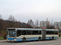 IMG 7387