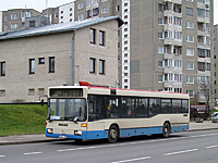 IMG 7404