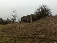 20131127984
