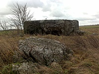 201311281002
