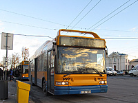 IMG 7661