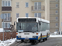 IMG 7708