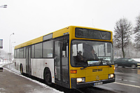 IMG 7717