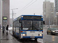 IMG 7724