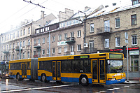 IMG 7727