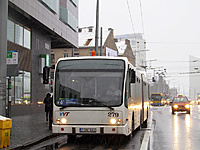 IMG 7732
