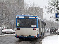 IMG 7687