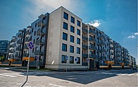 ozo8