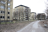 IMG 8077