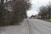 IMG 8111