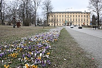 IMG 8119