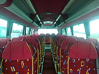 Ferqui F3