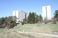 IMG 9611