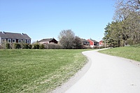 IMG 9612