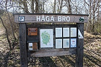 IMG 9613