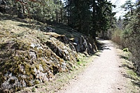IMG 9616