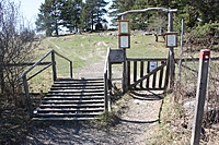 IMG 9619