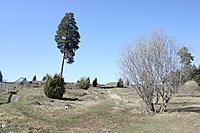 IMG 9620