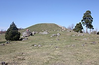 IMG 9623