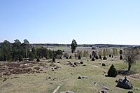 IMG 9627