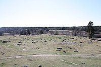 IMG 9628