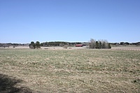 IMG 9633