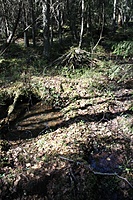IMG 9641