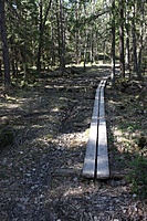 IMG 9645