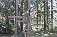 IMG 9648