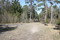IMG 9654