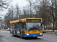 DSC 2915
