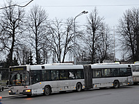 DSC 2952