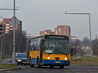 DSC 2993