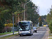 DSC 3029 1