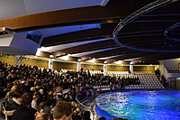 Delfinariumas 2013 12 29 002