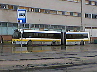 daf