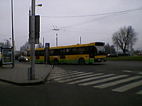 daf
