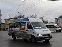 61 IMG 8572